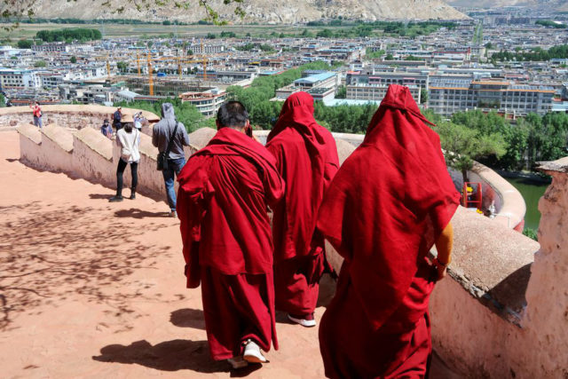 monk in potola palce